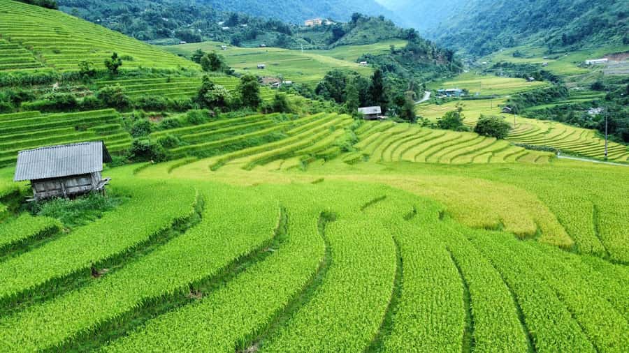 Sapa: Trekking Sapa One Day With Group Tour - Why This One-Day Sapa Trek Feels More Personal Than a Drive-By