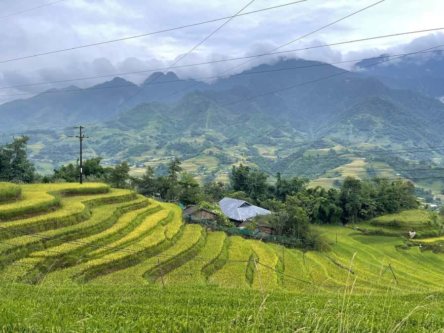 Sapa: Trekking Sapa One Day With Group Tour - Black Hmong Village Stop at Y Linh Ho: Culture You Can See Up Close