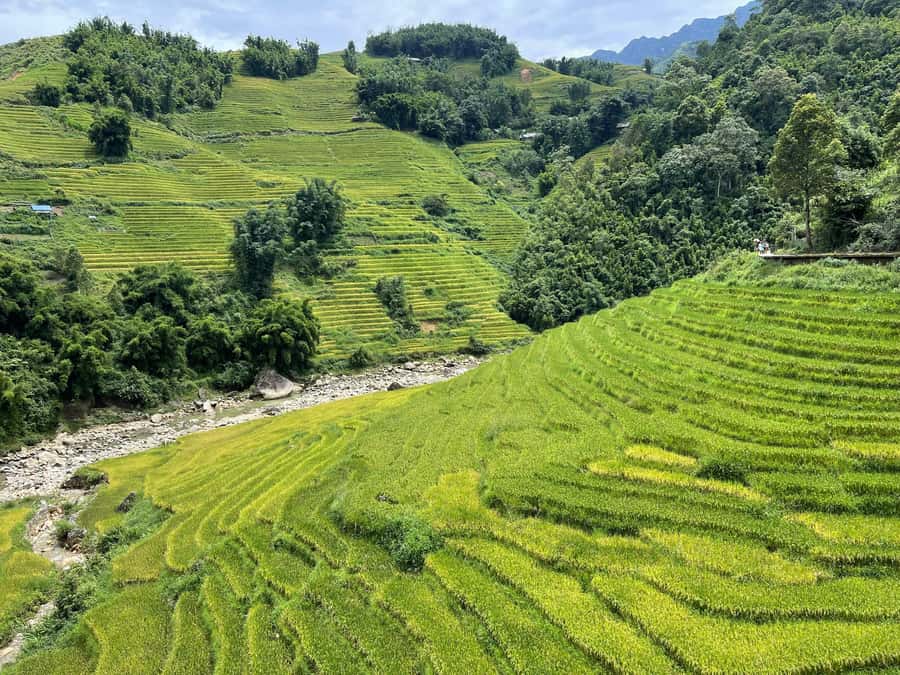 Sapa: Trekking Sapa One Day With Group Tour - Lao Chai Village: Rice Fields and the Largest Hmong Community