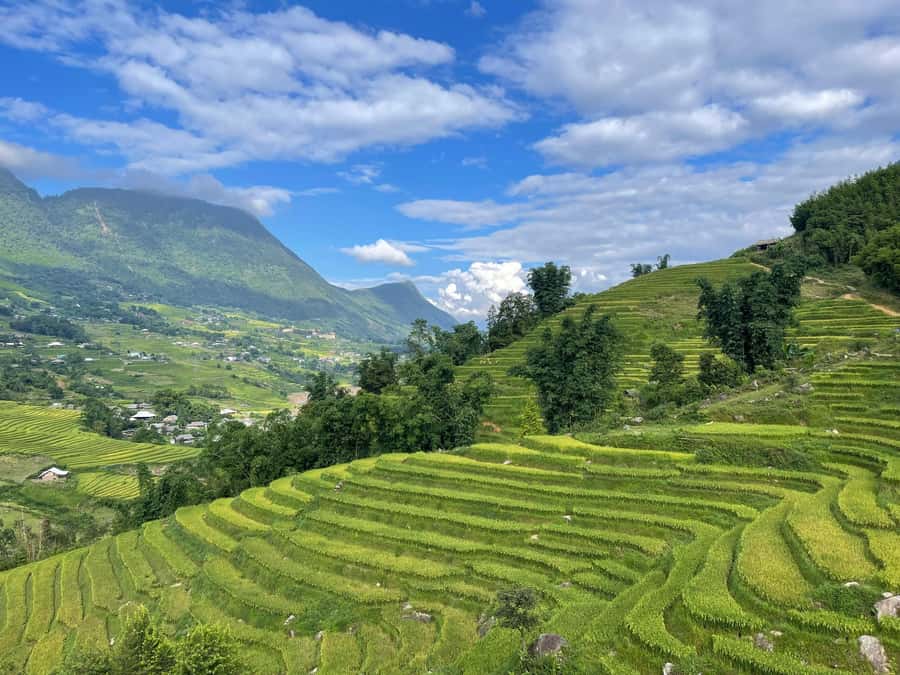 Sapa: Trekking Sapa One Day With Group Tour - Ta Van Village and Giay Stilt Houses: Another Ethnic Thread in the Same Valley