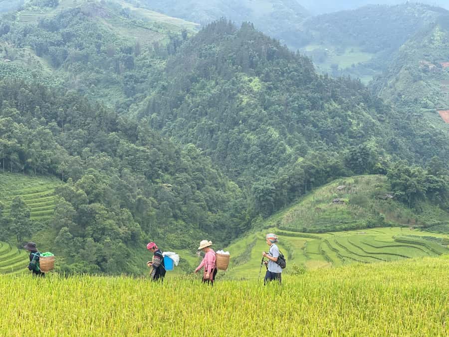 Sapa: Trekking Sapa One Day With Group Tour - Timing, Pace, and the 5-Hour Reality Check