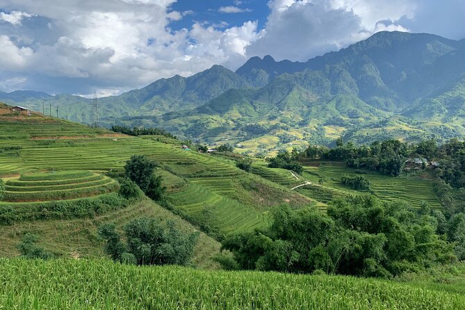 Sapa Trekking Tour 2 Days 1 Night By Bus - Price and logistics: $85 is reasonable if you’re honest about the tradeoffs