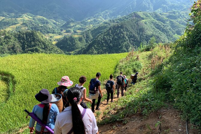 Sapa Trekking Tour 2 Days 1 Night By Bus - Village visits: Black H’mong, Dao, and Dzay—plus the Cat Cat reality check