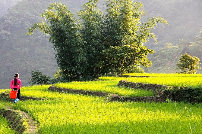 Sapa Valley Trek and Homestay - 3D2N - Ta Van to the Waterfalls: The Day Two Climb That Usually Becomes the Favorite