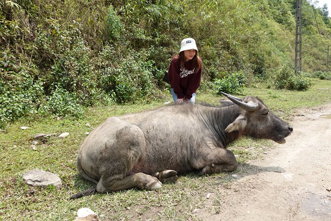 Sapa Valley Trek and Homestay - 3D2N - Guide Quality Changes Everything on This Trek