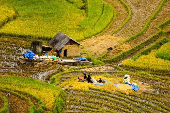 Sapa Villages trekking and homestay 2 Days/ 1 night package tour: best selling - What This 2-Day Sa Pa Village Trek Really Covers