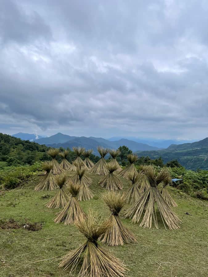 Sapa: Y Linh Ho - Lao Chai, and Ta Van Trekking Day Tour - Morning timing: how the walk really feels
