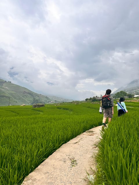 Sapa3D2N TrekkingAdventures,Valleys,Bambooforest,Waterfall - Day 3: Lao Chai and Y Linh Ho Rice Terraces, Muong Hoa Hanging Bridge, Hoang Lien Son Views