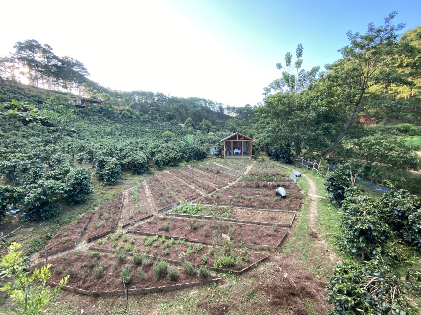 Scented candle workshop at Twin Beans Farm - Da Lat suburb - Making your candle: learning the process, then building your own