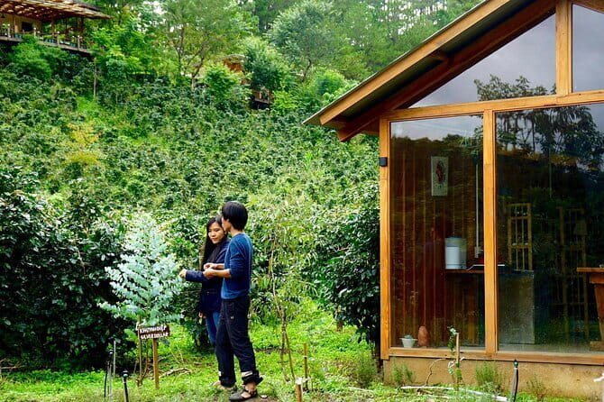 Scented Candle Workshop in Twin Beans Farm Da Lat - Twin Beans Farm in Da Lat: A Quiet Setup for a Creative Hour