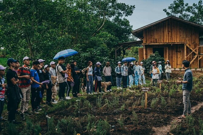 Scented Candle Workshop in Twin Beans Farm Da Lat - The Herb Garden Stop: Where Your Nose Does the Planning