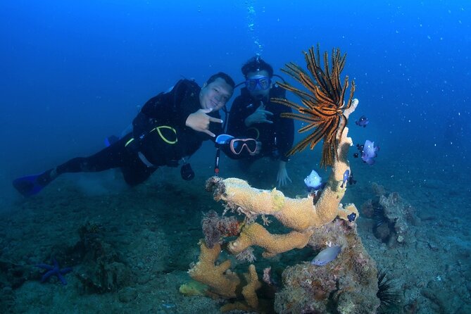 Scuba Diving Experience in Nha Trang Bay - Key highlights you can plan around