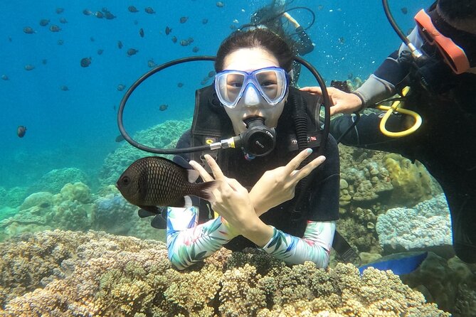 Scuba Diving Experience in Nha Trang Bay - Nha Trang Bay: what you’re really paying for