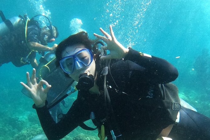 Scuba Diving Experience in Nha Trang Bay - Stop 1: Nha Trang Bay and your underwater briefing