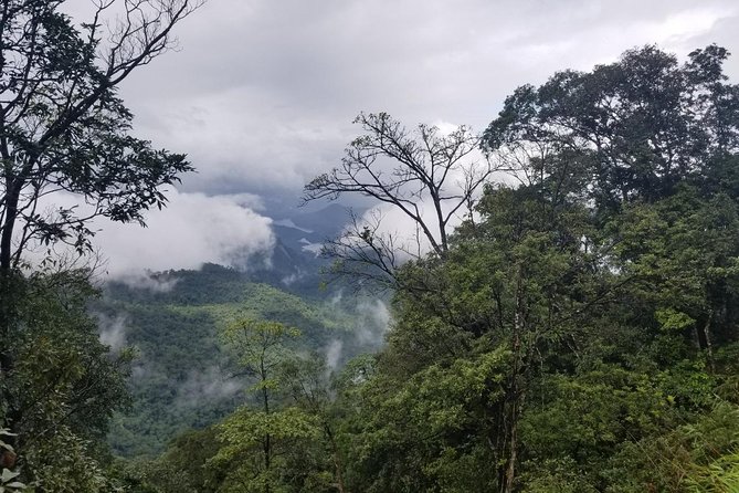 Small Group - Bach Ma National Park Trekking Tour From Hue - Rhododendron Waterfall and the big Buddha stop: variety without losing the plot
