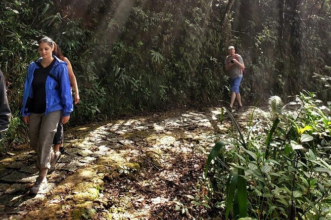 Small Group - Bach Ma National Park Trekking Tour From Hue - Weather, slippery trails, and safety: the downside you should plan for
