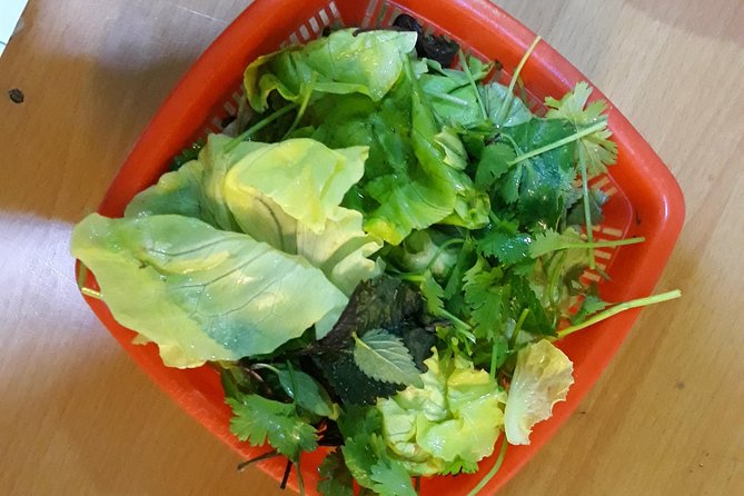 Small Group Hanoi Street Food Tour with a Real Foodie - Vegetarian and other dietary needs: what to do before you go