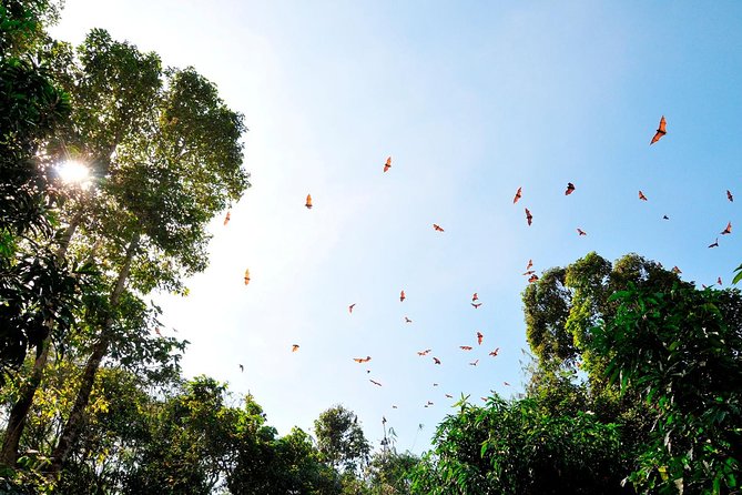 Small-Group Tour to Can Gio Vam Sat Mangrove Forest - Price and Value: What $129 Really Buys You