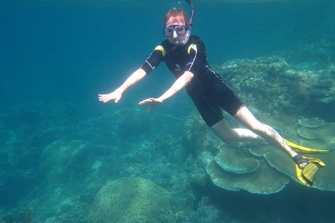Snorkeling at Đầm Bấy island - Đầm Bay snorkeling at Hon Mun Marine Park: what this tour is really like