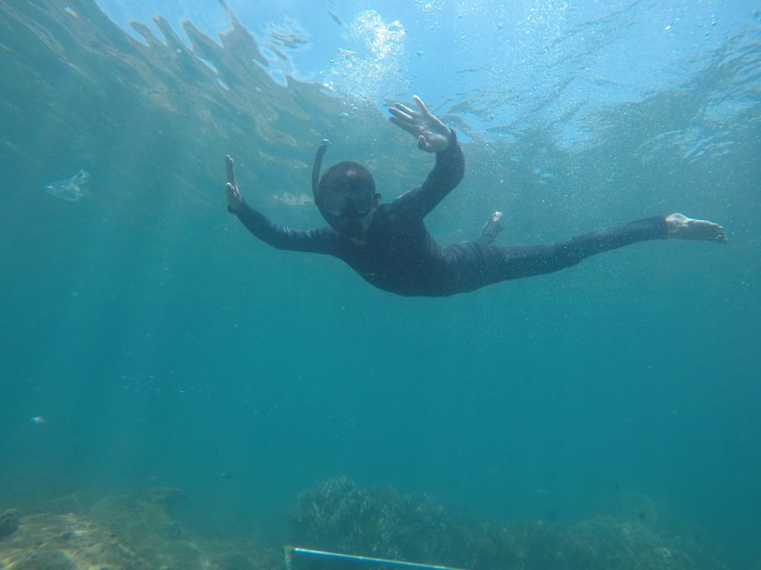 Snorkeling Cham Island: Snorkeling Tour by Speed Boat - Bai Chong Beach Break: Hammocks, Sun, and a Slower Pace
