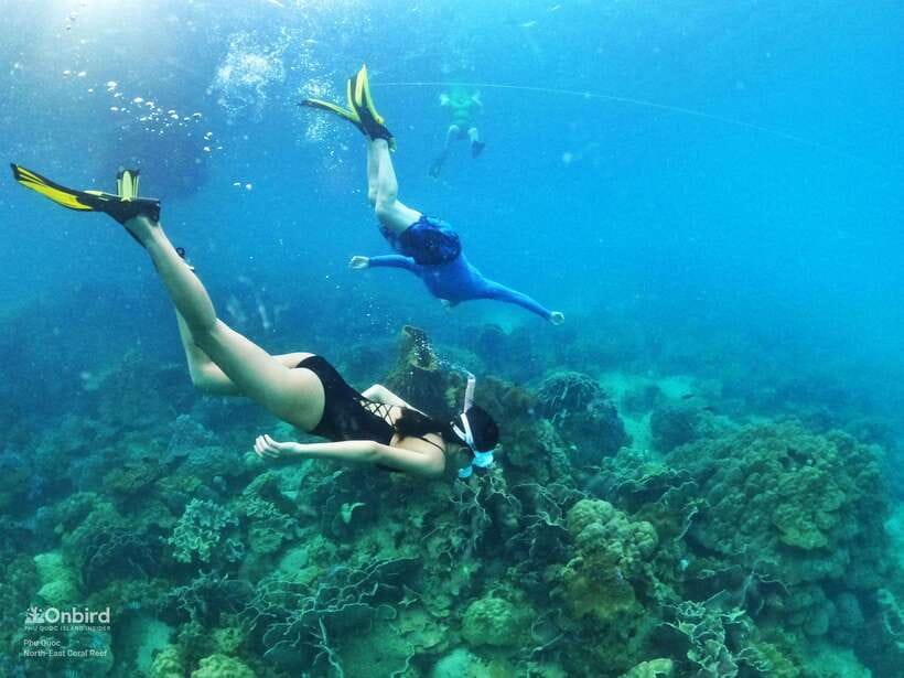 South Phu Quoc: Pro Snorkeling Tour by Speedboat - How your 6 hours usually play out (and why the order matters)