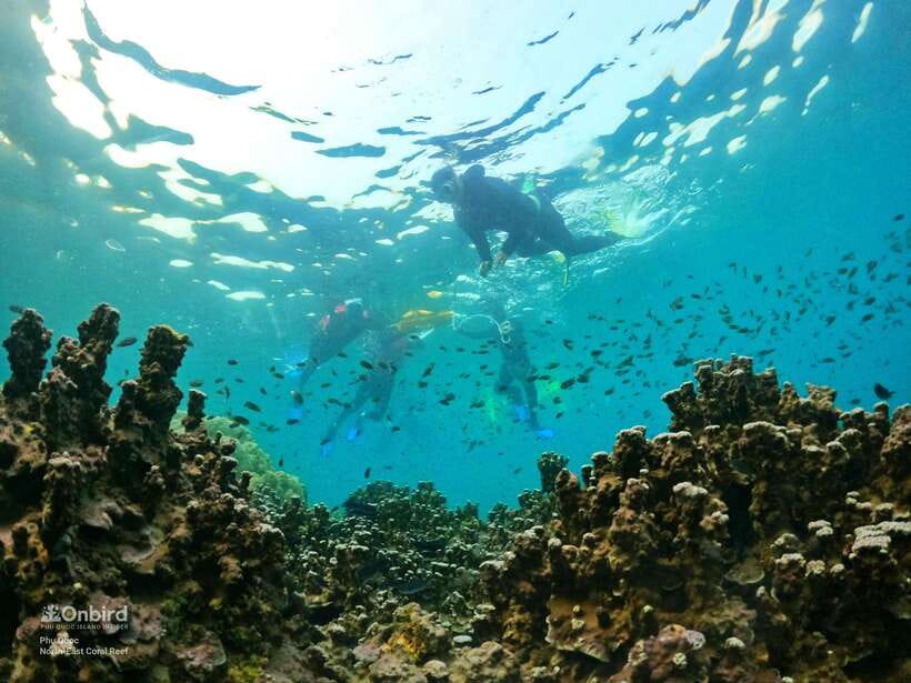 South Phu Quoc: Pro Snorkeling Tour by Speedboat - Reef preservation rules that keep you from doing accidental damage