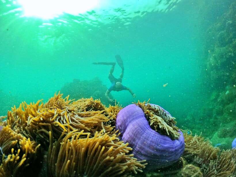 South Phu Quoc: Pro Snorkeling Tour by Speedboat - What to bring so you don’t waste time on the small stuff