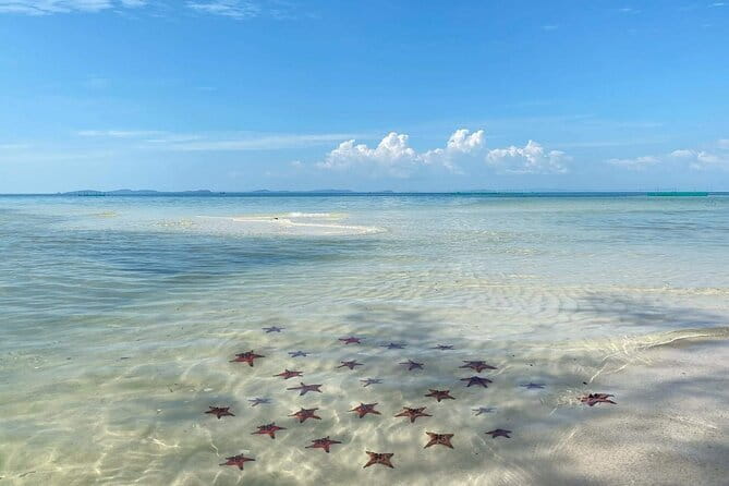 Starfish Beach Trip In Phu Quoc Island - What the guide actually does (beyond pointing and counting)