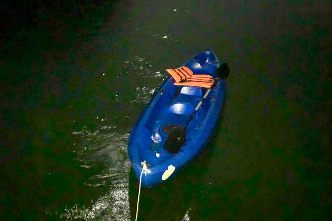 Sunset & Bioluminescent Plankton Kayaking Lan Ha bay - Why Lan Ha Bay at night: bioluminescent plankton you can actually see