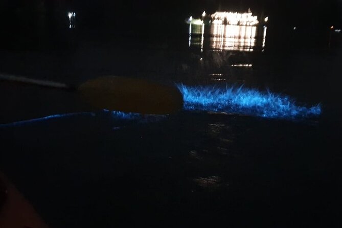 Sunset & Bioluminescent Plankton Kayaking Lan Ha bay - Cai Beo floating village to Van Boi beach: sunset BBQ and small surprises