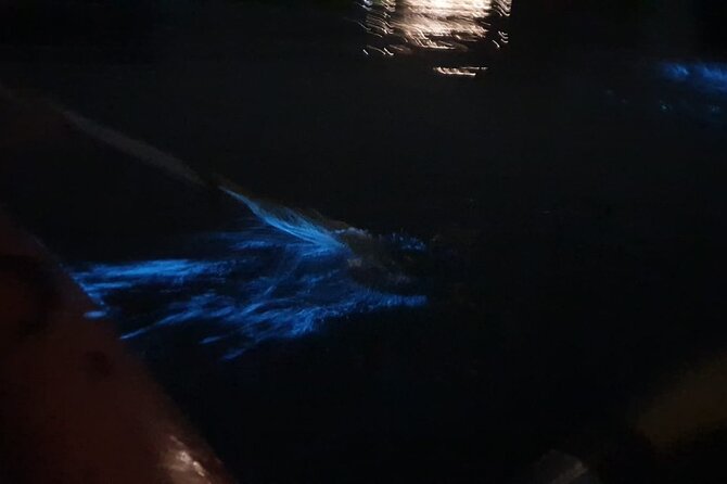 Sunset & Bioluminescent Plankton Kayaking Lan Ha bay - From Hanoi meet-up to the harbor: how the evening starts (and why)