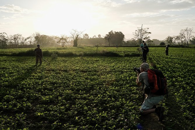 Sunset photo tour with the farmers - The River Village Connection: More Than Just a Pretty Backdrop