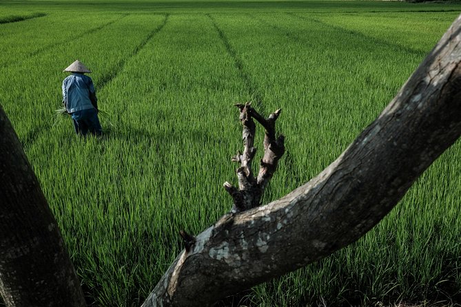 Sunset photo tour with the farmers - Meet the Photographers: Coaching That Fits Your Level