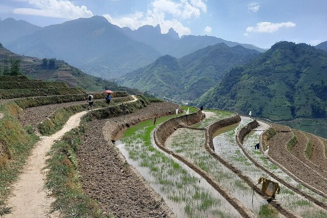 The best view and most authentic tour in Sapa (Non Touristy) - Bamboo jungle and terrace views: the scenery you can actually earn