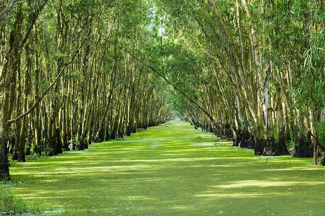 Three-Day Mekong Delta Private Tour - Including Tra Su Bird Sanctuary - Day 1: Cai Be Sampan Canals, Tan Phong Cycling, and Vinh Long Crafts