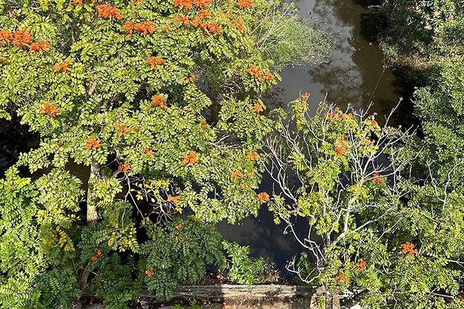 Tour for Nature lover- Lung Ngoc Hoang Nature Reserve in Can Tho - How the 2:00 pm start works in real life