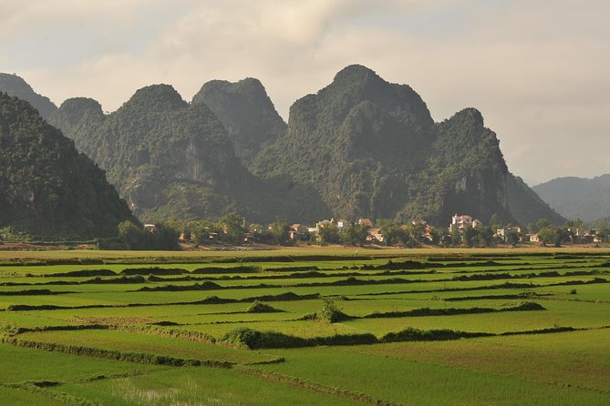 Tour to the caves ONE DAY tour to Phong Nha and Paradise caves - Paradise Cave: what the 31 km dry cave actually means for your visit