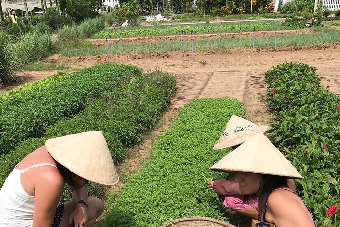 Tra Que Village Cycling And Farming - The small “extra” moments: temples, photos, and guide personalities