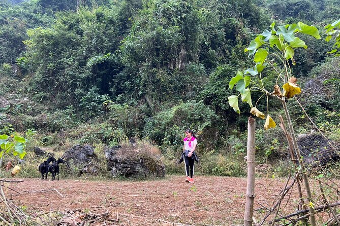 Trekking Ban Gioc Waterfall to Hidden Village on Unique Route - How hard is the trek, really?