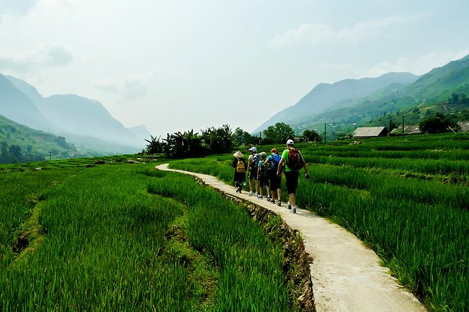 Trekking Through Rice Terraced Fields - 1Day - First step in Sapa: meeting your guide and setting expectations