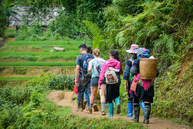 Trekking Through Rice Terraced Fields - 1Day - Ta Van village: meeting the Giay and seeing how customs differ