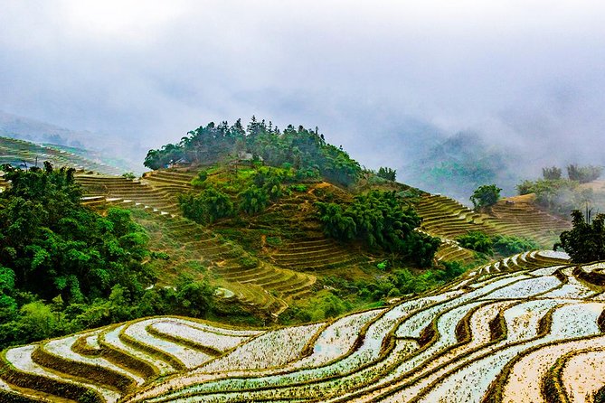 Trekking Through Rice Terraced Fields - 1Day - Lunch and included basics: local food, simple extras