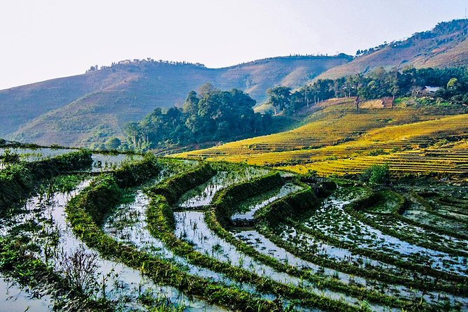 Trekking Through Rice Terraced Fields - 1Day - Price and value: is $45 a good deal?