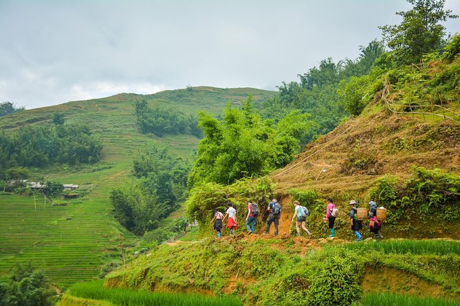 Trekking Through Rice Terraced Fields - 1Day - Lao Chai (Black Hmong): rice terrace walking with cultural storytelling
