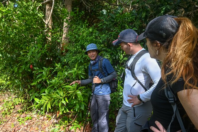 Trekking Tien Son Dinh Phu Quoc - The Climb: Distance, Height, and Why Shoes Matter