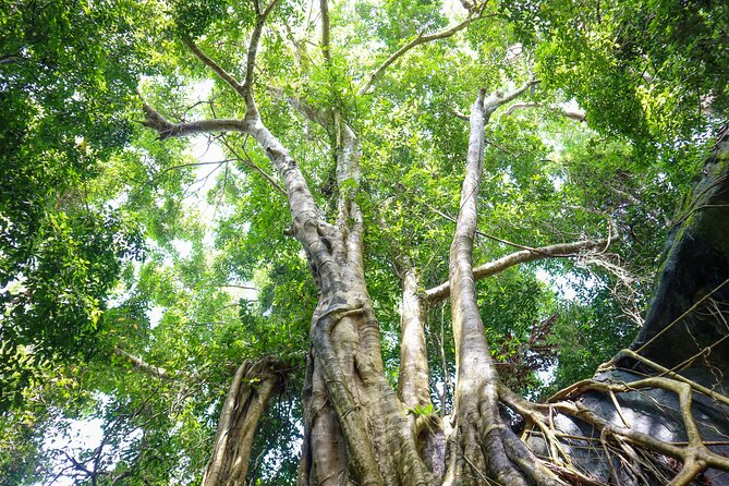 Trekking Tien Son Dinh Phu Quoc - Stop 2: Ham Ninh and the Taste of the Island