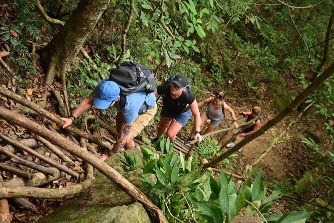 Trekking Tien Son Dinh Phu Quoc - The Jungle Part: What You’ll Learn on the Trail