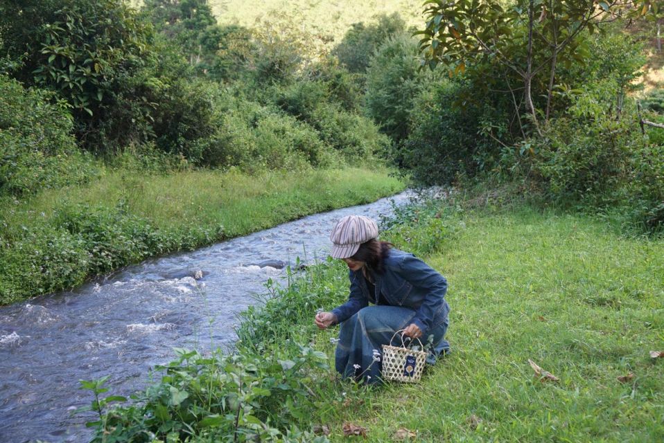 Trekking to Hidden Waterfall & Sturgeon Farm for dog-lovers - From Twin Beans Farm to a waterfall you don’t share