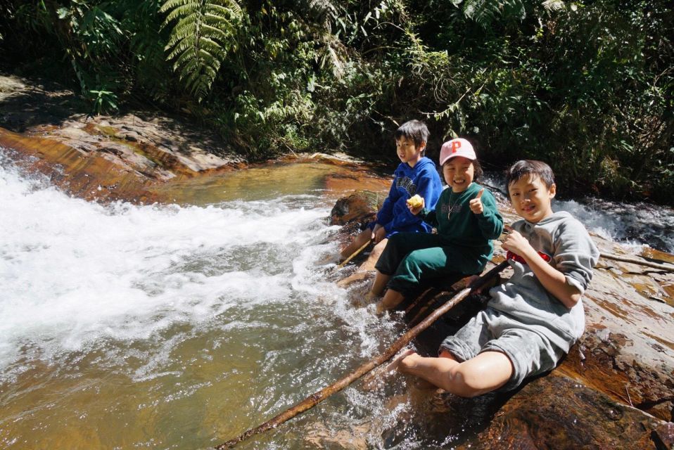 Trekking to Hidden Waterfall & Sturgeon Farm for dog-lovers - What you’ll actually get for $10: value that makes sense