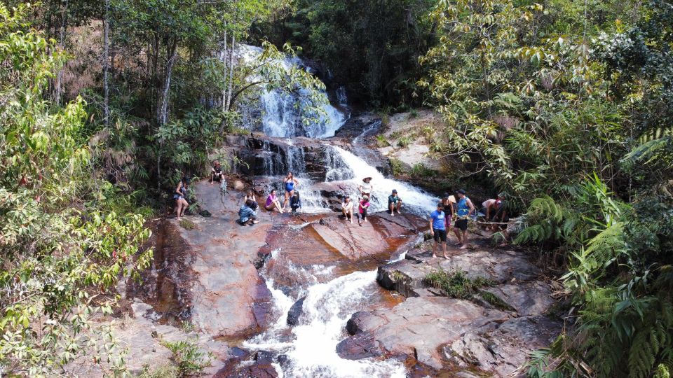 Trekking to Hidden Waterfall & Sturgeon Farm for dog-lovers - Guides, dogs, and the small-group factor that changes everything